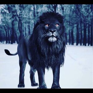 Meet your Posher, Pierre